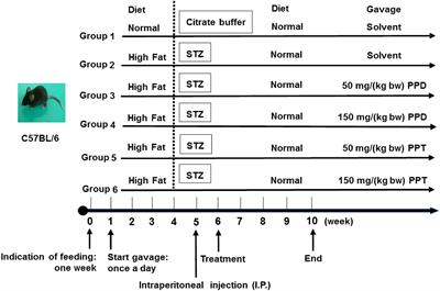 Protopanaxadiol and Protopanaxatriol-Type Saponins Ameliorate Glucose and Lipid Metabolism in Type 2 Diabetes Mellitus in High-Fat Diet/Streptozocin-Induced Mice